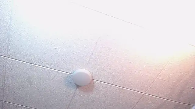 RichardMilleer online show from February 2026 01:56:01 PM