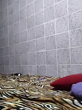 Snapshot of Cachorrinha2025 chatting on November 2025 01:43:01 AM Cachorrinha2025 online show from November 2025 01:43:01 AM