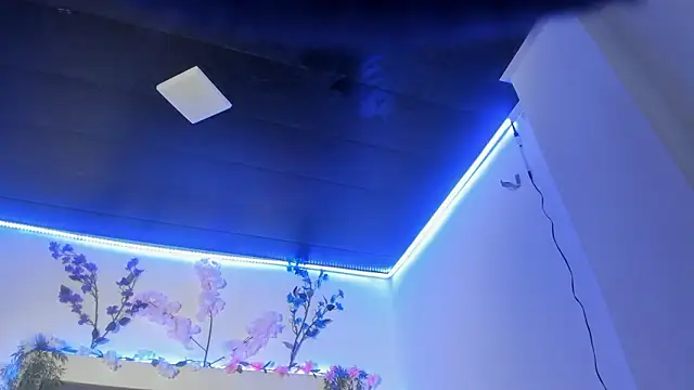 abbiecollins js online show from March 2026 04:45:01 AM