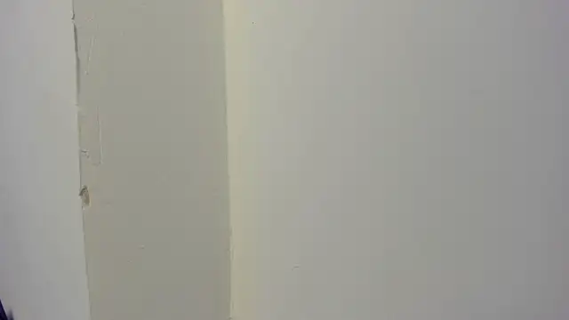 abbiecollins js online show from March 2026 04:24:02 AM