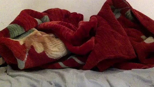 Kwasi-a online show from March 2026 04:08:01 PM