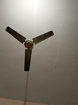 monarani5986 online show from January 2026 08:18:02 PM