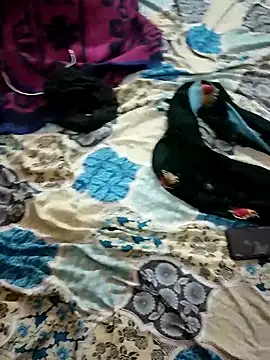 monarani5986 online show from November 2025 06:30:02 PM