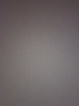 noe 30 online show from December 2025 06:08:01 PM