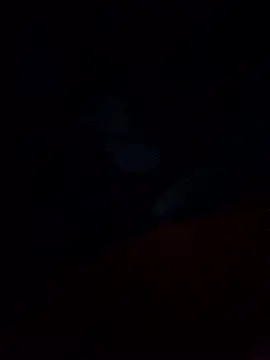 Jarektchurzewski online show from February 2026 12:32:02 AM