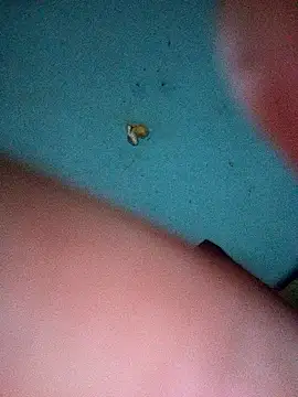 Jarektchurzewski online show from April 2026 01:01:01 AM