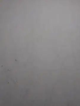 sweet bella16 online show from November 2025 07:46:02 AM