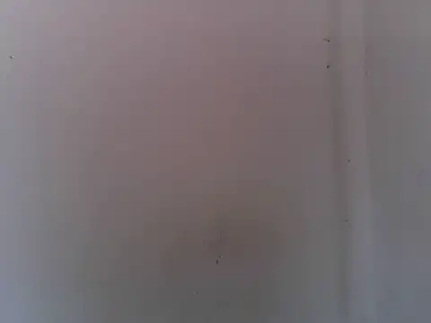asian bhebs1 online show from September 2025 11:22:02 PM