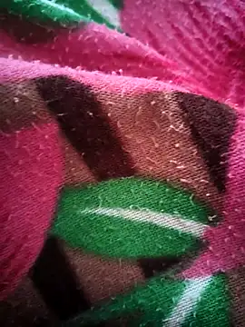 bold guy 1234 online show from October 2025 05:06:01 AM