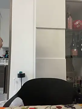 Snapshot of ainaht chatting on March 2026 04:52:01 PM ainaht online show from March 2026 04:52:01 PM