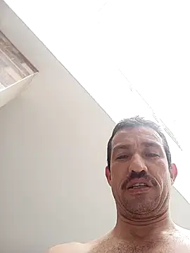zamir adam online show from November 2025 03:27:01 PM