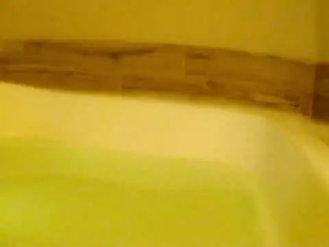 darnette daisy online show from May 2026 08:07:02 AM