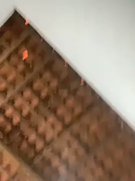 Milenvs online show from March 2026 12:24:02 PM