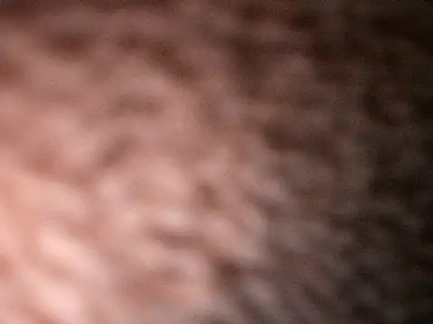 Milenvs online show from October 2025 07:53:01 AM