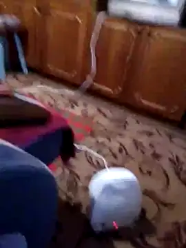 Nikusya-51 online show from December 2025 01:22:02 PM