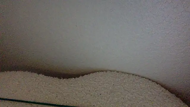 Texxaspearl online show from March 2026 12:51:02 PM