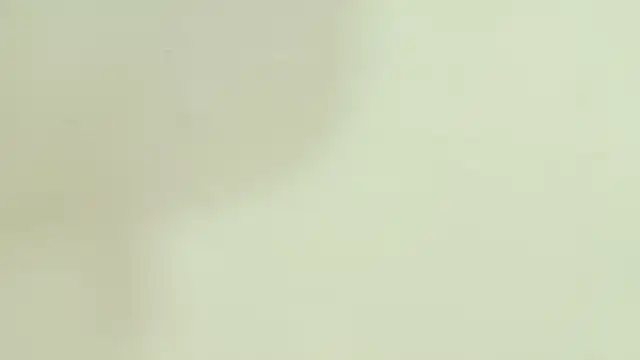 paulina cano online show from March 2026 07:14:02 PM