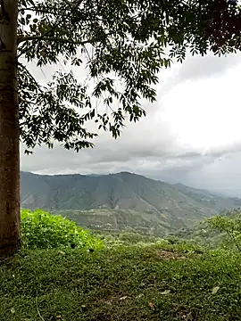 sky-wolves online show from November 2025 09:46:01 PM