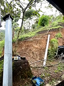 sky-wolves online show from November 2025 05:49:02 PM