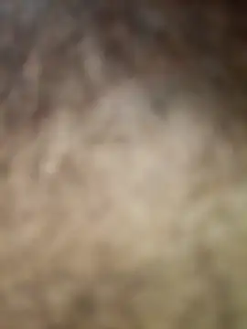 rashid-khan786 online show from April 2026 08:32:01 AM