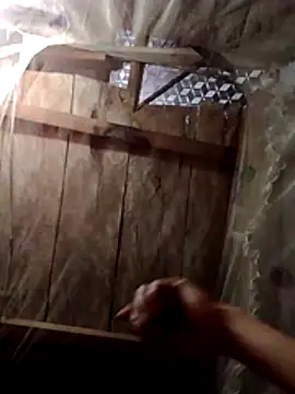 donna-bae online show from February 2026 10:33:01 PM