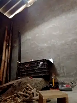 donna-bae online show from February 2026 03:34:02 AM