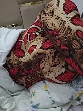 Feel the Fun online show from February 2026 05:23:02 PM