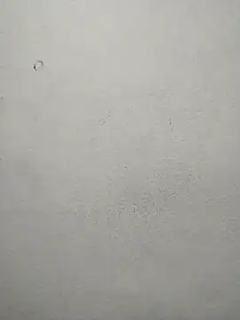 ms-naina online show from April 2026 05:04:02 PM