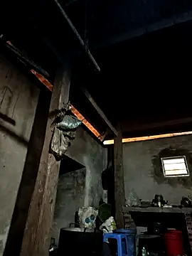 Snapshot of tulipsexy chatting on January 2026 05:56:02 AM tulipsexy online show from January 2026 05:56:02 AM