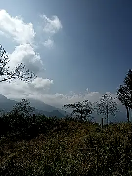 Snapshot of tulipsexy chatting on January 2026 05:44:02 AM tulipsexy online show from January 2026 05:44:02 AM