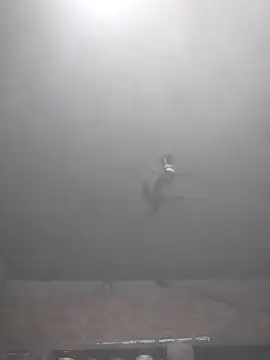 Snapshot of Hott_cutgirl chatting on November 2025 04:00:02 PM Hott cutgirl online show from November 2025 04:00:02 PM