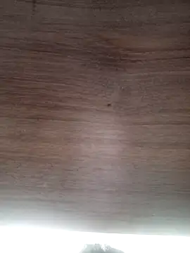 ValeriaLove43211 online show from March 2026 06:41:02 AM