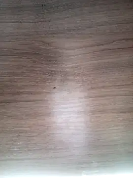 ValeriaLove43211 online show from March 2026 06:29:01 AM