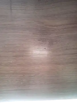 ValeriaLove43211 online show from March 2026 07:21:01 AM