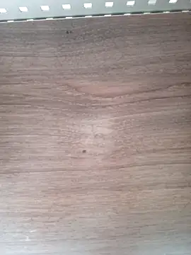 ValeriaLove43211 online show from April 2026 07:53:02 AM