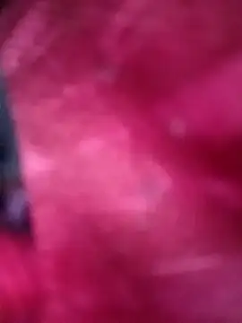 Jeya thakur online show from December 2025 09:00:01 AM