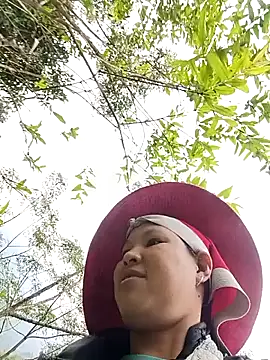 callistra online show from November 2025 08:39:02 AM