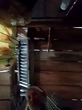 callistra online show from April 2026 04:36:01 AM