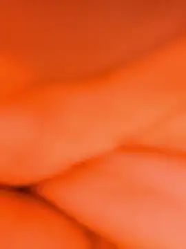 sassyishhu76 online show from January 2026 02:42:02 PM