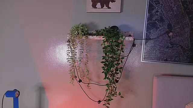 KeendraFox  online show from February 2026 10:17:02 AM