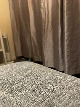 Snapshot of queenwetness chatting on September 2025 06:54:02 PM queenwetness online show from September 2025 06:54:02 PM