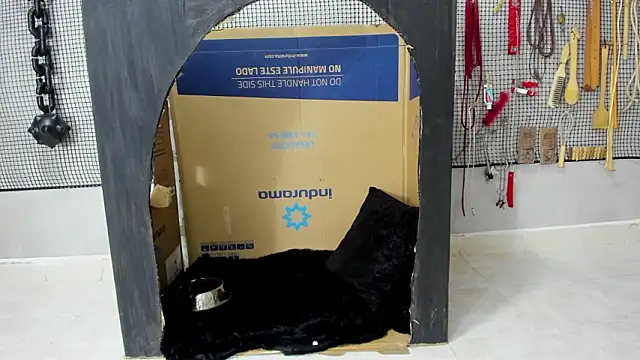 BDSM MEDUZA online show from February 2026 11:28:01 AM