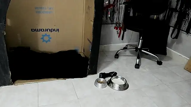 BDSM MEDUZA online show from February 2026 03:30:01 AM