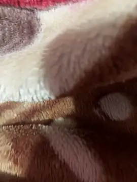 satisfyursoul online show from November 2025 05:02:02 PM