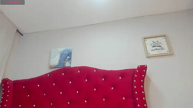 Snapshot of sky-ls chatting on September 2025 02:01:01 PM sky-ls online show from September 2025 02:01:01 PM