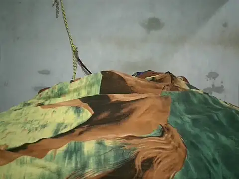 Alcee490 online show from October 2025 03:16:01 AM