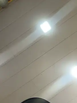 Snapshot of Noamilk chatting on February 2026 08:31:01 PM Noamilk online show from February 2026 08:31:01 PM