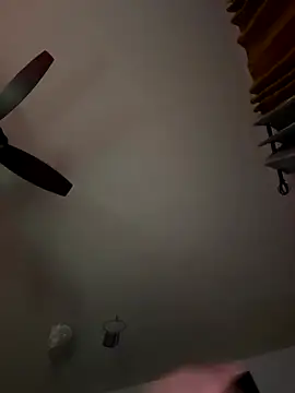 Snapshot of LeeDank chatting on November 2025 07:29:01 AM LeeDank online show from November 2025 07:29:01 AM