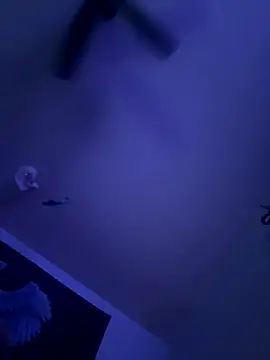 Snapshot of LeeDank chatting on September 2025 06:53:01 AM LeeDank online show from September 2025 06:53:01 AM