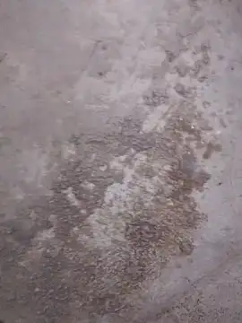 SalariedNudist online show from December 2025 08:04:02 PM